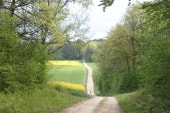 Le Beauchot
